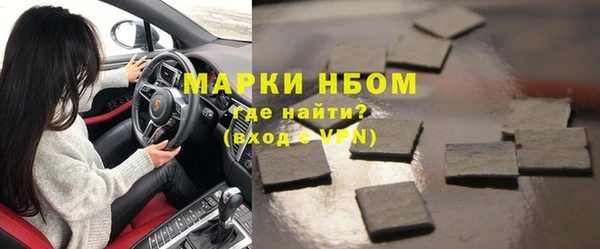 индика Краснослободск