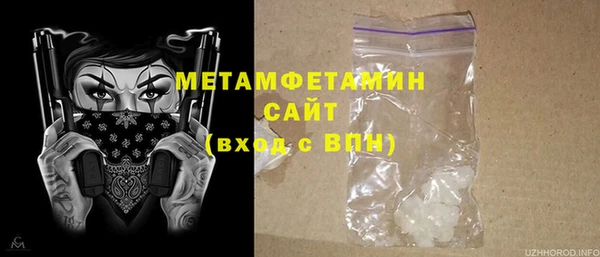 индика Краснослободск