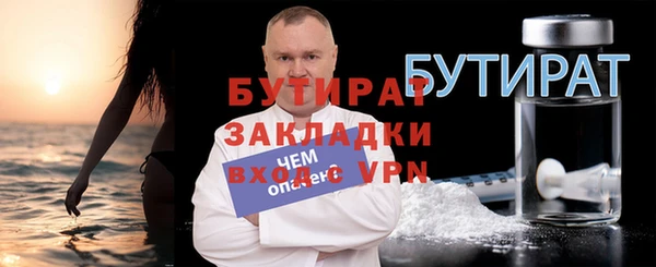 индика Краснослободск
