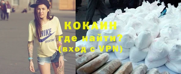 индика Краснослободск