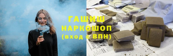 индика Краснослободск