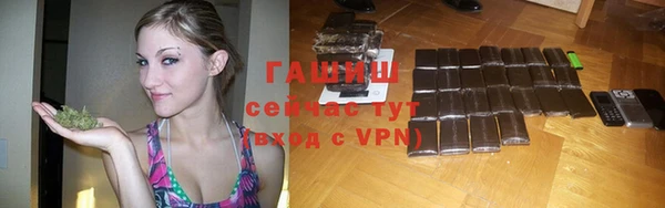 индика Краснослободск