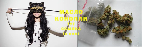 индика Краснослободск