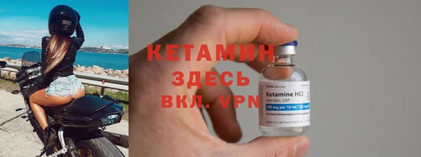 индика Краснослободск