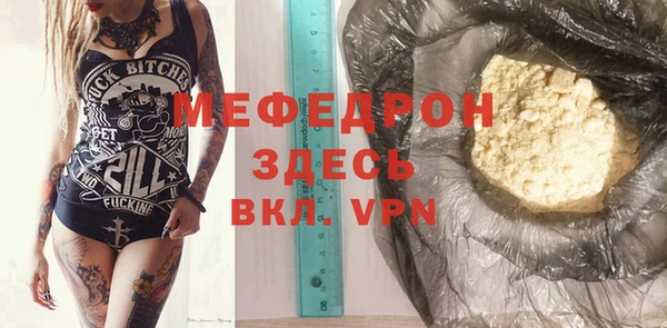 индика Краснослободск