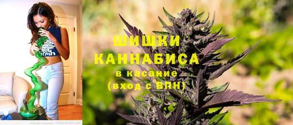 индика Краснослободск
