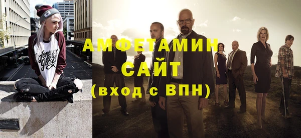 индика Краснослободск