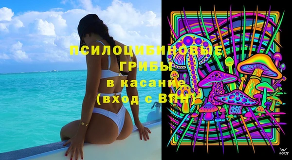 индика Краснослободск