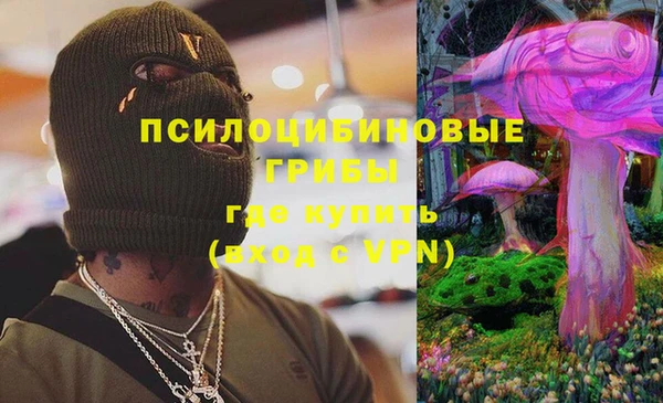 индика Краснослободск